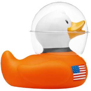 NASA SEWP mascot duck with a United States flag